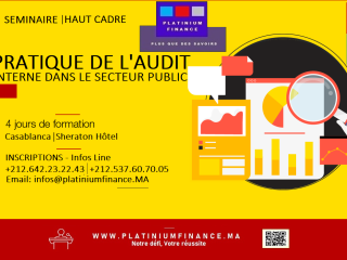 FORMATION INTERNATIONALE - Audit Interne dans le secteur Public