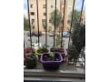 appartement-a-louer-a-sala-al-jadida-moderne-et-calme-en-1ere-etage-small-3