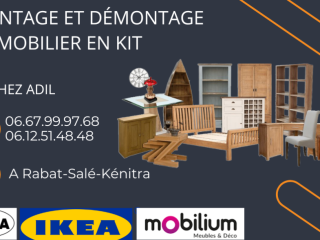 Montage et démontage de mobilier en kit IKEA-KITEA ........