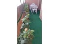 appartement-meuble-pres-marjane-route-de-casa-avenue-abdelkrim-el-khattabi-small-0