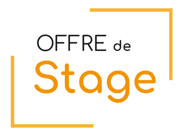 offre-de-stage-en-marketing-digital-big-0